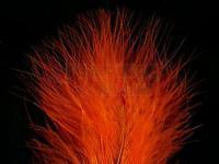 Feathers Hareline Extra Select Marabou #187 Hot Orange