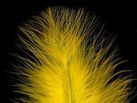 Feathers Hareline Extra Select Marabou #383 Yellow