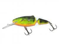 Frisky 7 DR - Real Hot Perch