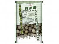 Kulki proteinowe Carp Zoom Amur Big Catch Boilies 800g 20mm