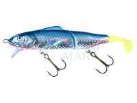 Lure Jaxon Gerit 11cm + 3cm F color SN