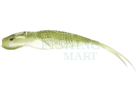 Guma Qubi Lures Syrena Vert 25cm 65g - Oliv