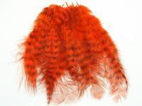 Hareline Grizzly Soft Hackle - Hot Orange