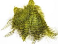 Hareline Grizzly Soft Hackle - Olive