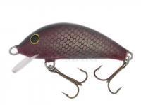 Lure Gloog Hektor 40SRF - CH