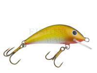 Hard bait Gloog Hektor 50S-RY