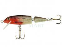 Hard Lure Jaxon Holo Select Horn 7cm 7g F - RB