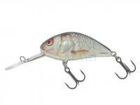 Lure Salmo Hornet H5S RD