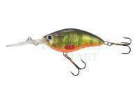 Lure Jaxon HS Spirit 7 DR - 7cm OM