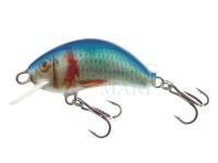 Lure Kenart Hunter 3cm NRB