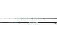 Wędka Shimano Salty Advance Spinning 3.05m 10'0" Shore JIG100g 2pc