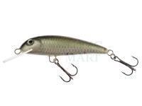 Lure Wob-Art Strzebla (Common dace) 6cm 4g MF DR - 01