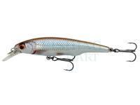 Hard Lure Savage Gear Gravity Twitch SR 9.5cm 15g - Roach