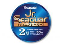 Żyłka Fluorocarbonowa Jr. Seaguar Fluorocarbon 50m 0.285mm #3.0