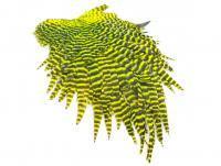 Kapka FutureFly Signature Hen Saddle - Yellow/Chartreuse Grizzly