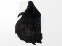 Kapka szyjna kury Hareline Dubbin Hen Cape - 11 Black