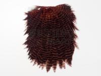 Hareline Dubbin Hen Saddle - 178 Grizzly Dyed Brown