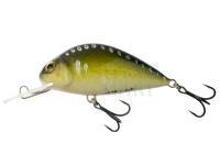 Lure Wob-Art Karp bezłuski (Carp) 7cm F SDR - 18