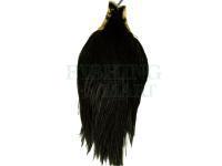 Keough Tyer`s Grade Cape - Black