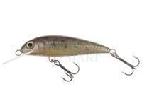 Lure Wob-Art Kiełb (Gobio gobio) 6.5cm 5g F DR - 54