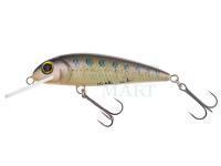 Lure Wob-Art Kiełb (Gobio) XL 7.5cm 9g FDR - 06