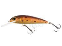 Lure Wob-Art Kiełb (Gobio) XL 7.5cm 9g FDR - 53