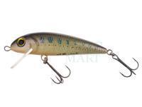 Lure Wob-Art Kiełb (Gobio) XL 7.5cm 9g FSR - 06