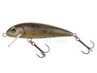 Lure Wob-Art Kiełb (Gobio) XL 7.5cm 9g FSR - 54