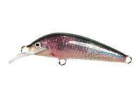 Lure Krakusek NR.1 5cm neutral - RB