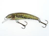 Lure Krakusek NR.3 5cm neutral - CY