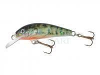 Lure Krakusek NR.6 4,5cm neutral - K