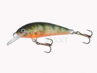 Lure Krakusek NR.6 4,5cm neutral - P