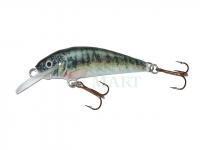 Lure Krakusek NR.6 4,5cm neutral - PP