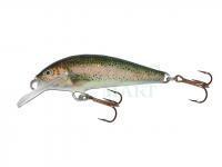 Lure Krakusek NR.6 4,5cm neutral - TRT