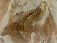 Mallard Duck Drake Grey Flank Large 5-8cm - March Brown