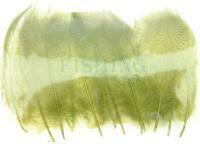 Mallard Duck Drake Grey Flank Medium 4-5cm - Olive / Black