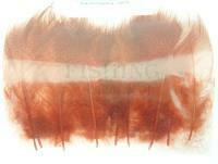 Mallard Duck Drake Grey Flank Medium 4-5cm - Rusty / Black