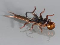 Micro Jig 1g #8 - Stonefly nymph brown
