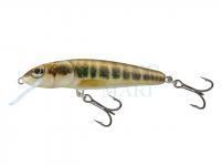 Wobler Salmo Minnow M5F - Minnow