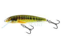 Hard Lure Salmo Minnow M6F 6cm - Holo Real Minnow