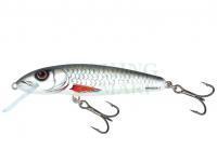 Hard Lure Salmo Minnow M6S 6cm - Dace