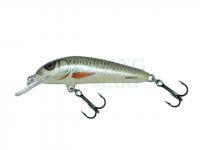 Wobler Salmo Minnow M7F - Dace