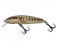 Wobler Salmo Minnow M7F - Minnow