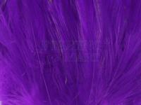 Neck Hackle Strung - purple