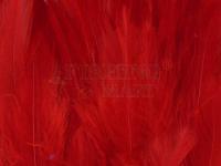 Neck Hackle Strung - red