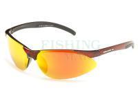 Polarized Sunglasses Solano FL 20049D