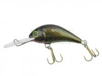 Hard bait Gloog Parys 40NF - B
