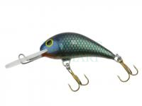 Hard bait Gloog Parys 40NF - F