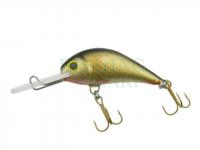 Hard bait Gloog Parys 40NF - NG