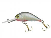 Hard bait Gloog Parys 40NF - NP